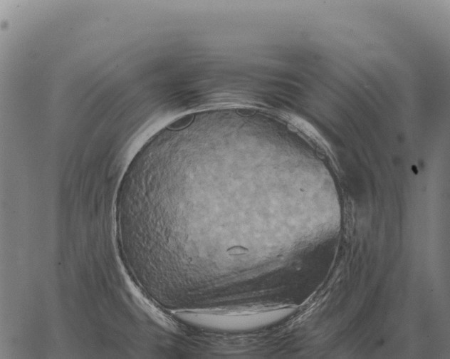 X0000066521431200603311743