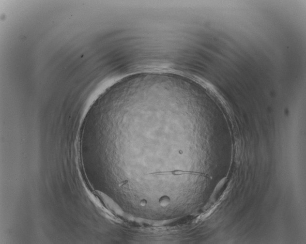 X0000066521432200603311743