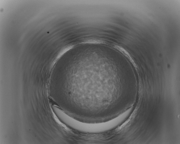 X0000066521433200603311743