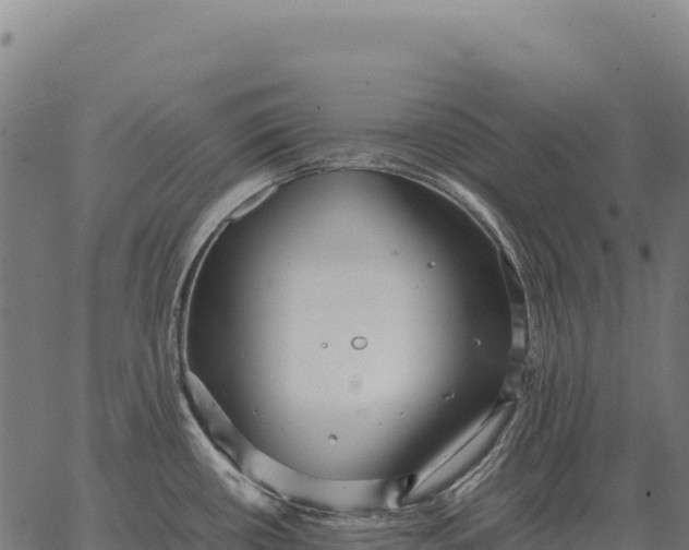 X0000066521434200603311743