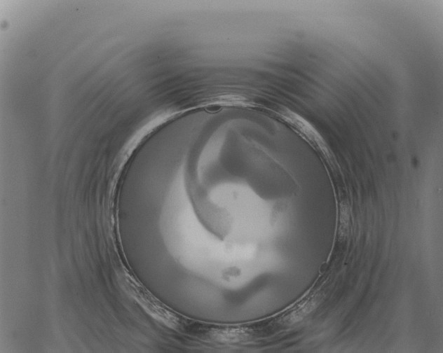 X0000066521435200603311743