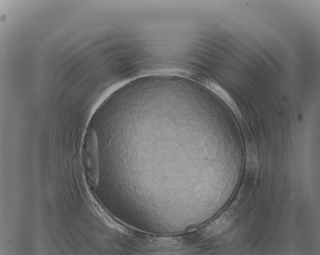 X0000066521436200603311743