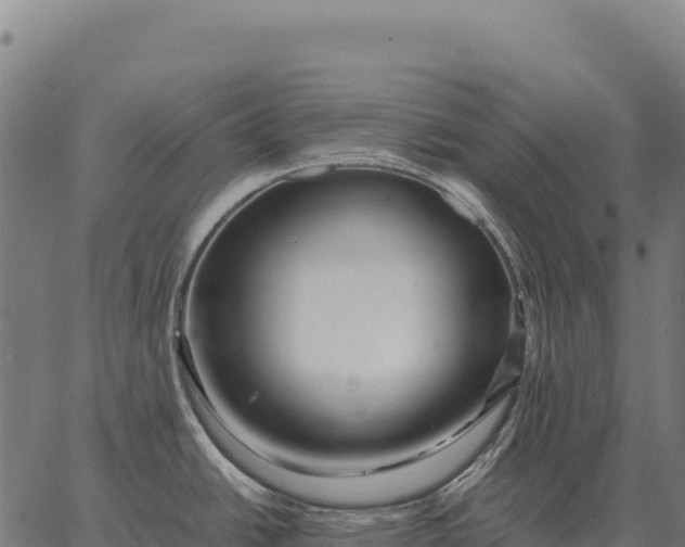 X0000066521438200603311743