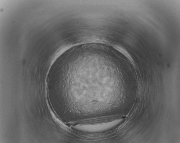 X0000066521439200603311743