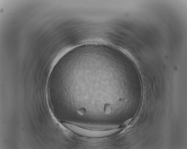 X0000066521440200603311743