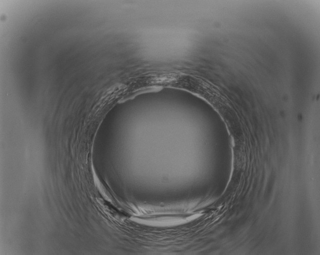 X0000066521441200603311743