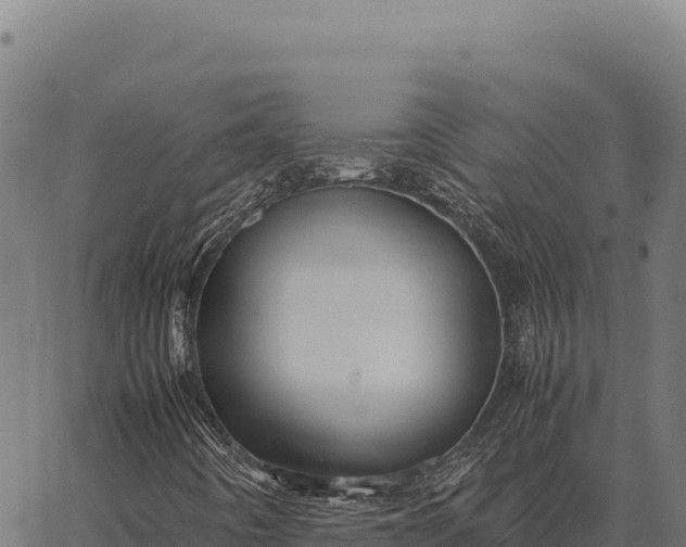 X0000066521442200603311743