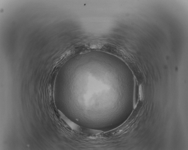 X0000066521443200603311742