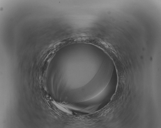 X0000066521445200603311742