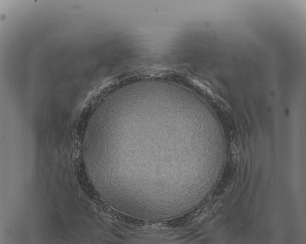 X0000066521447200603311742