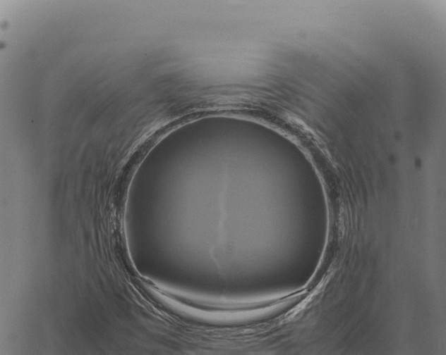 X0000066521449200603311742