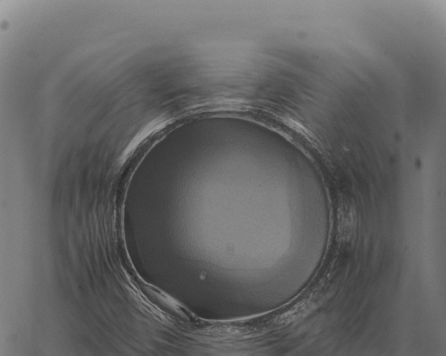 X0000066521450200603311742