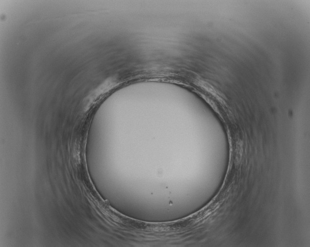 X0000066521451200603311742