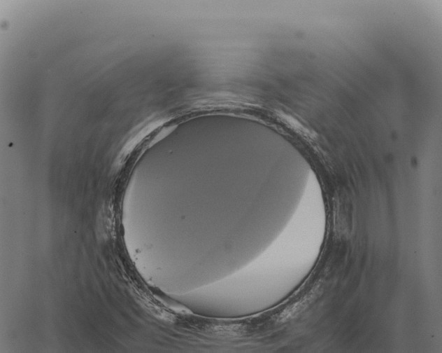 X0000066521453200603311742