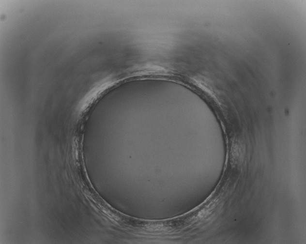 X0000066521455200603311742