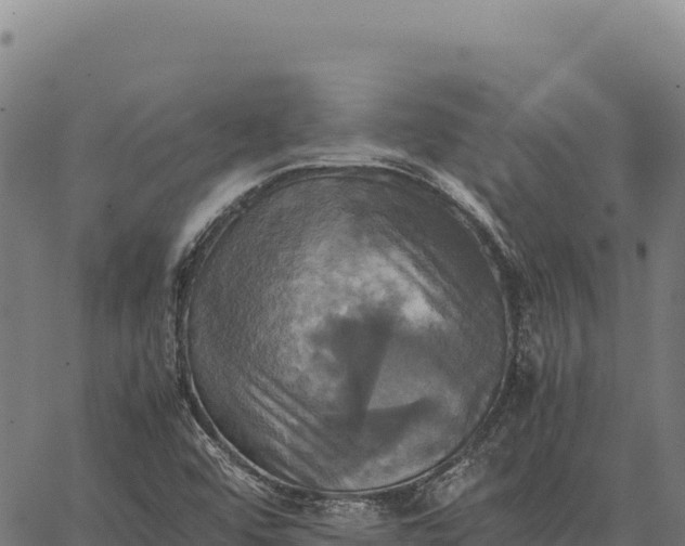 X0000066521456200603311742