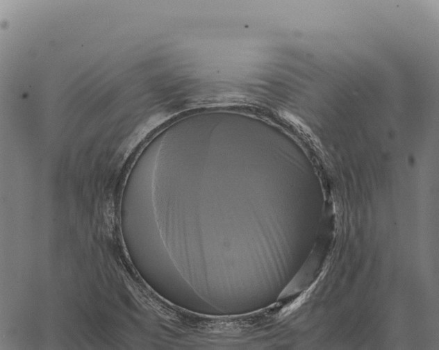 X0000066521457200603311742