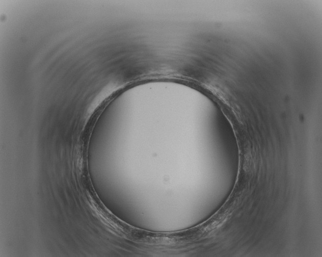 X0000066521458200603311742