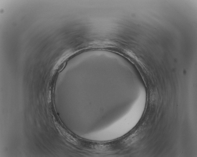 X0000066521459200603311742