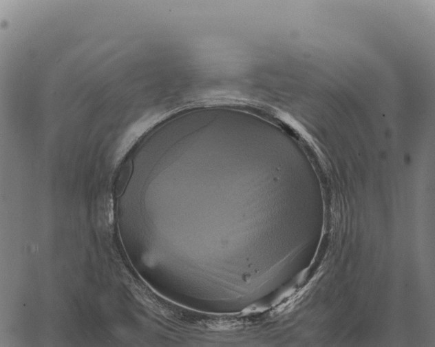 X0000066521461200603311742