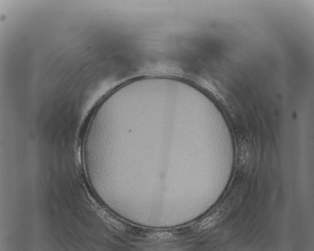 X0000066521462200603311742