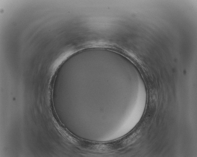 X0000066521463200603311742