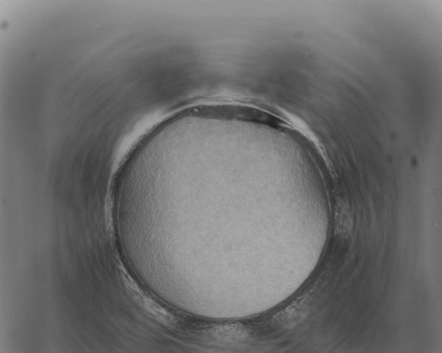 X0000066521464200603311742