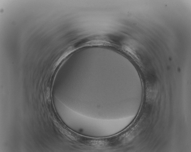 X0000066521465200603311742