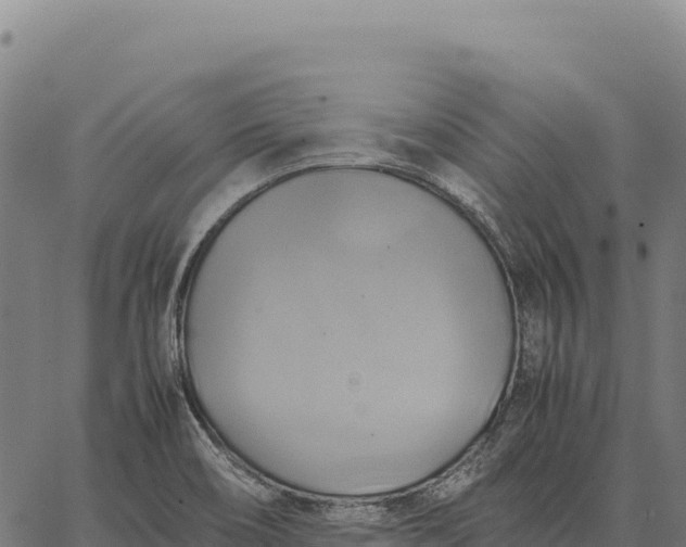 X0000066521466200603311742