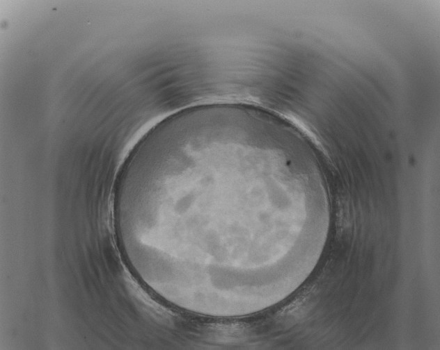 X0000066521468200603311742