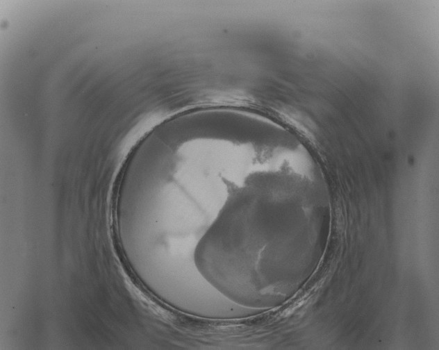 X0000066521471200603311742