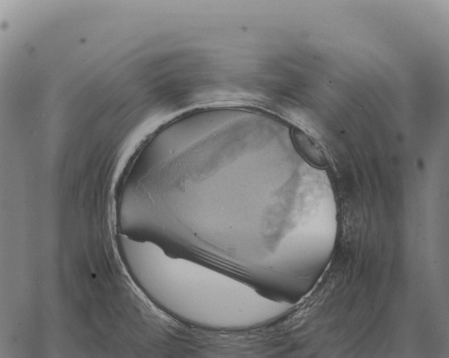 X0000066521472200603311742