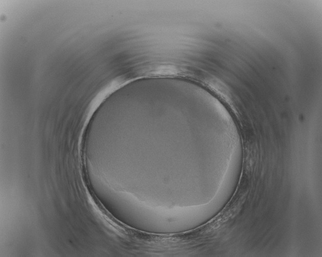 X0000066521475200603311742