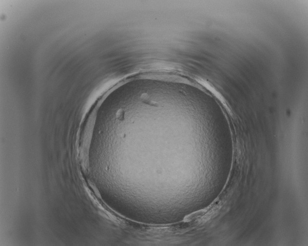 X0000066521477200603311742