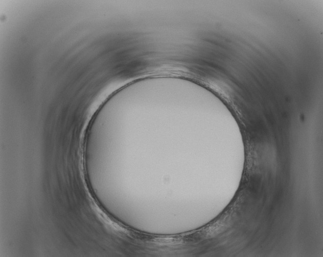 X0000066521478200603311742