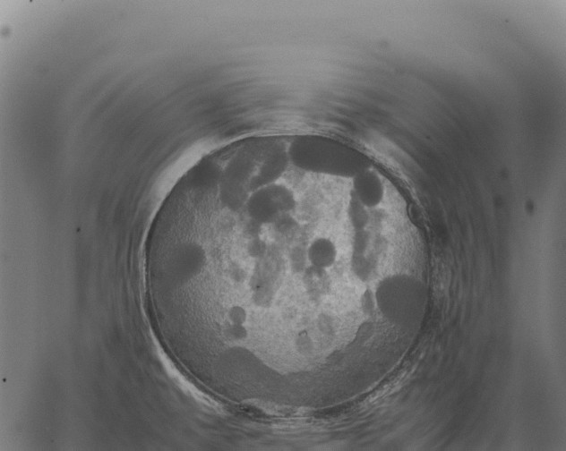 X0000066521479200603311742