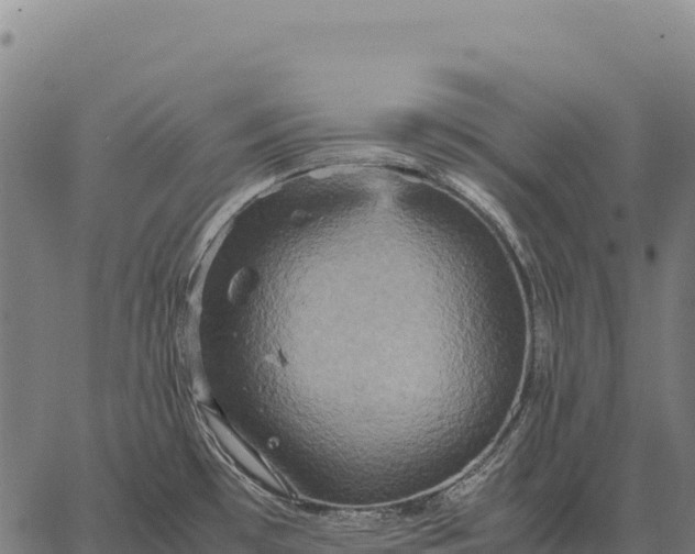 X0000066521481200603311742