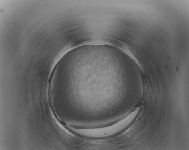 X0000066521484200603311742