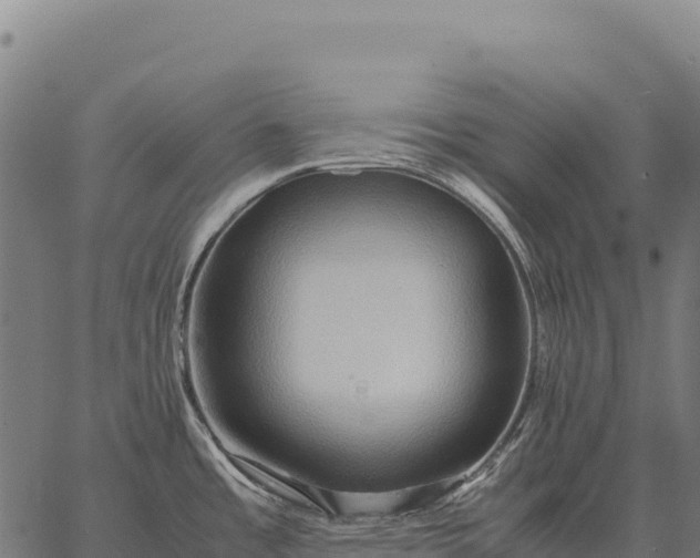 X0000066521485200603311742