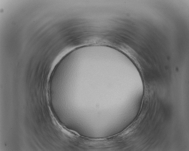 X0000066521486200603311742