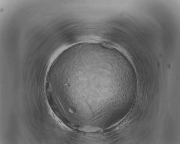 X0000066521488200603311742