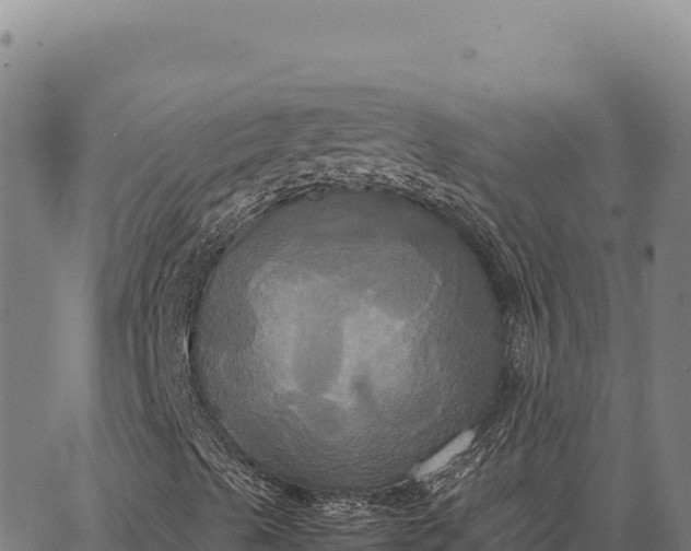 X0000066521489200603311741