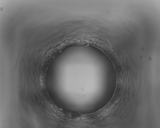 X0000066521490200603311741