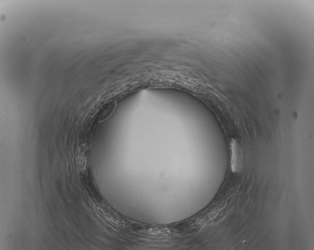 X0000066521491200603311741