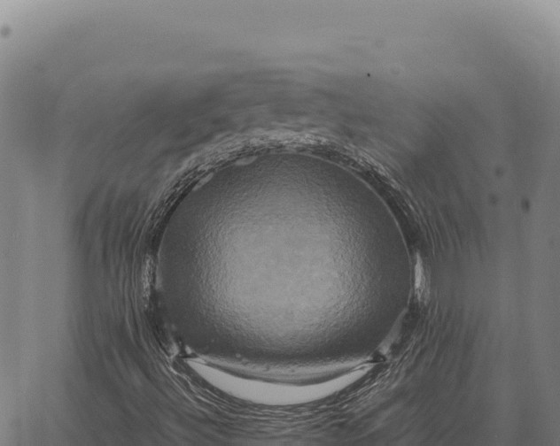 X0000066521492200603311741