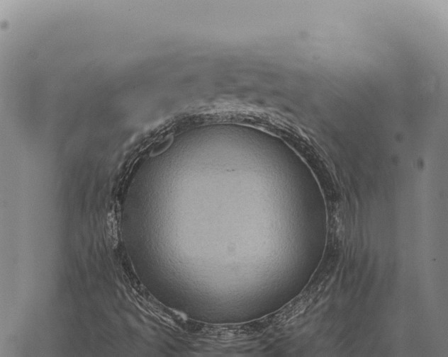 X0000066521493200603311741