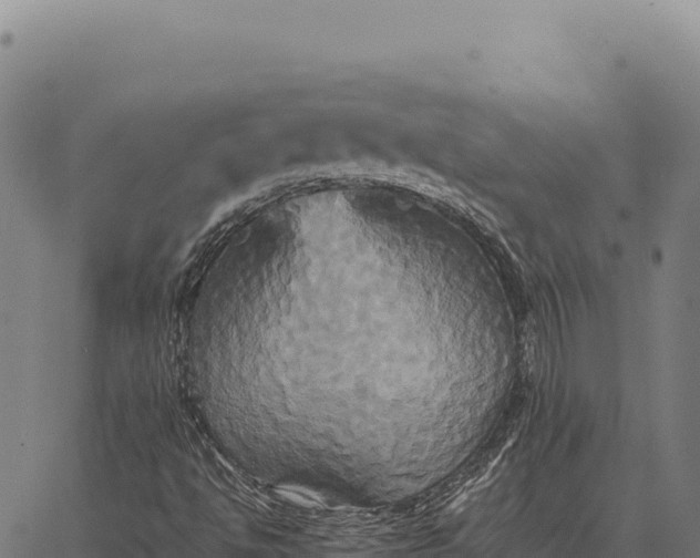 X0000066521494200603311741