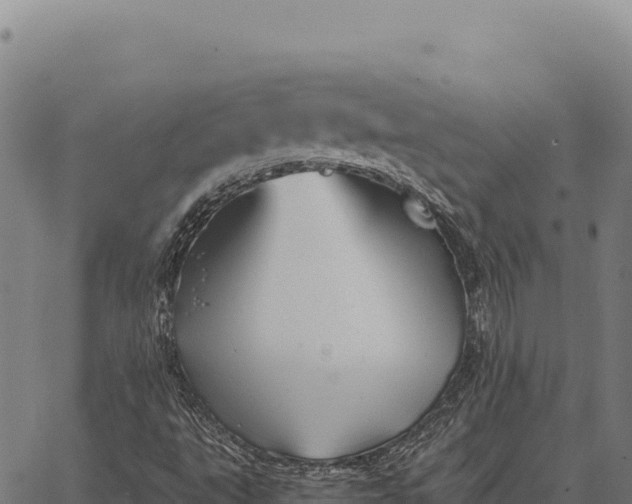 X0000066521495200603311741