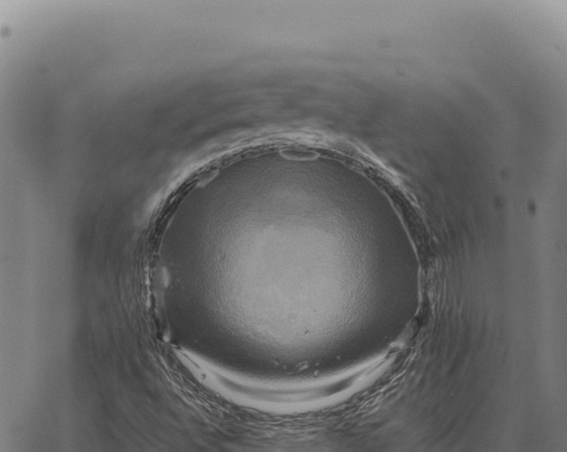 X0000066521496200603311741