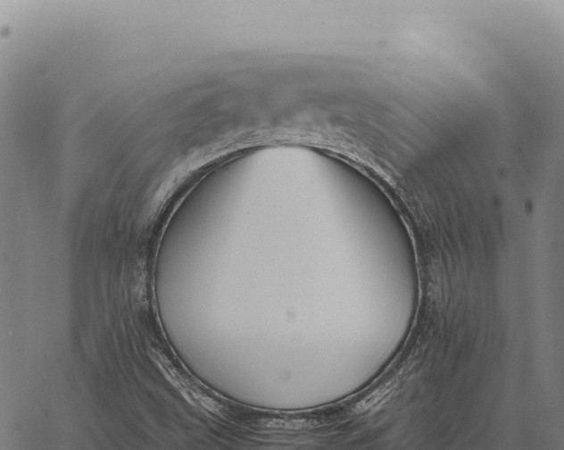 X0000066521499200603311741